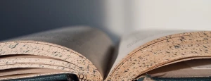 The Importance of the Science of Sirah